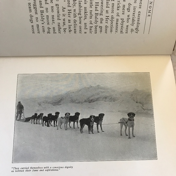 Baldy of Nome, 1913 children’s book, fine 1st ed - Picture 2 of 5